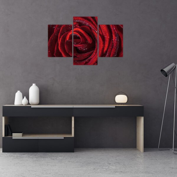 Slika - Crvena ruža s kapljicama rose (90x60 cm)