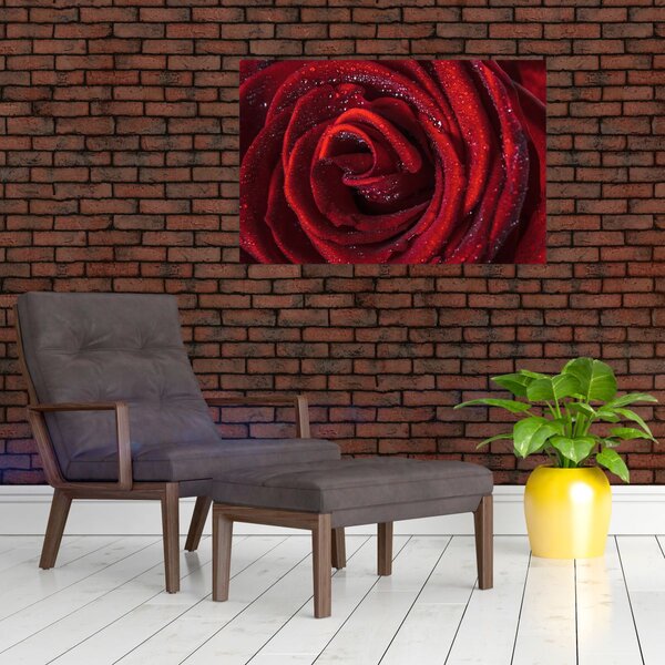 Slika - Crvena ruža s kapljicama rose (90x60 cm)