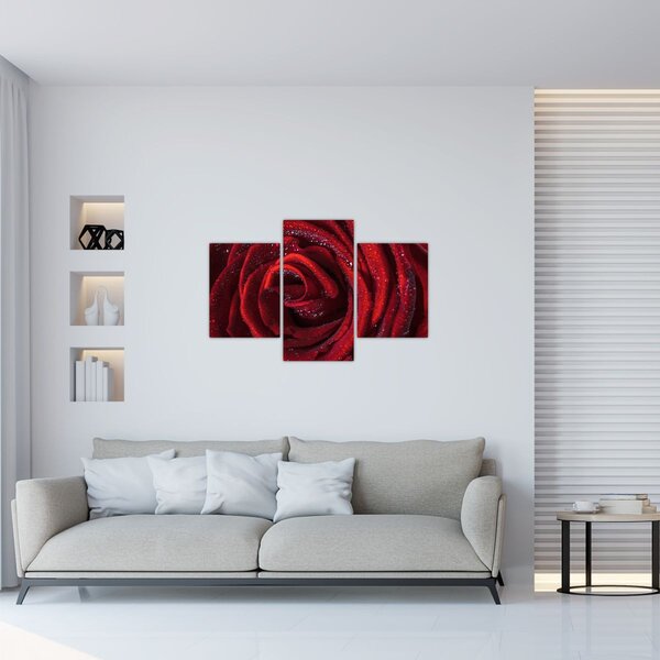 Slika - Crvena ruža s kapljicama rose (90x60 cm)