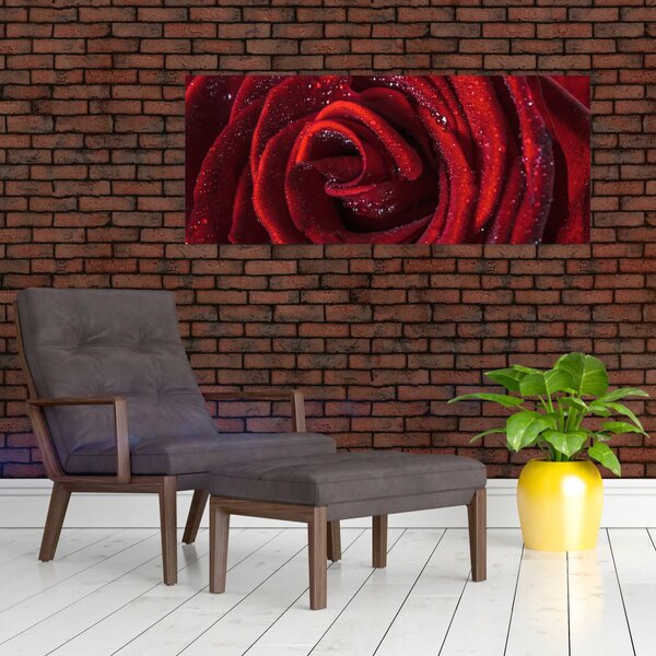Slika - Crvena ruža s kapljicama rose (120x50 cm)
