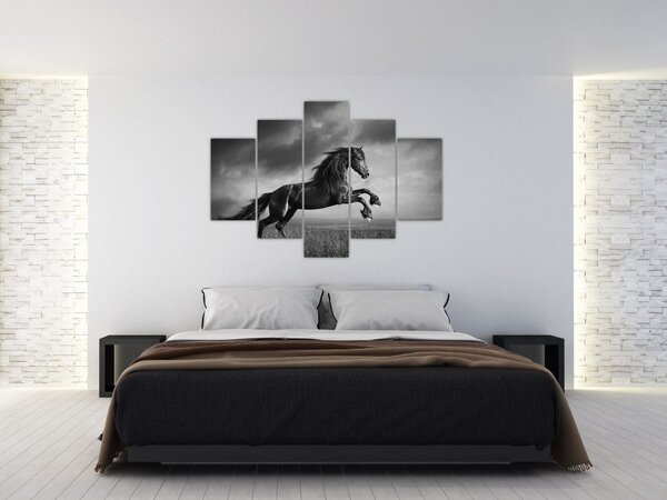 Slika - Crno-bijeli konj (150x105 cm)