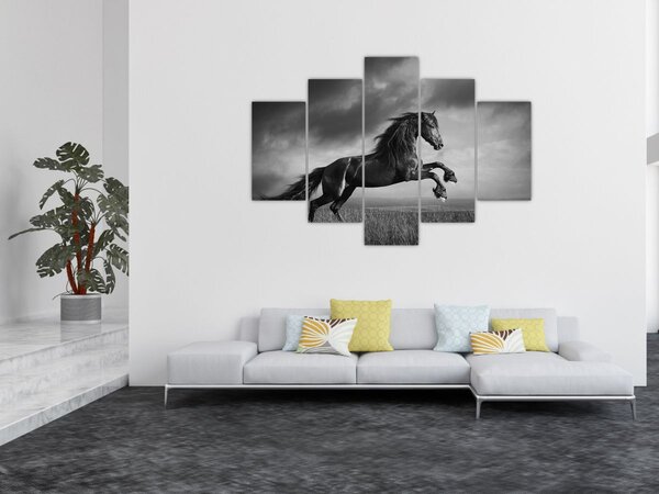 Slika - Crno-bijeli konj (150x105 cm)