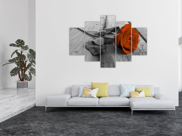 Slika - Narančasta ruža (150x105 cm)