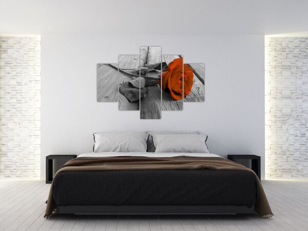 Slika - Narančasta ruža (150x105 cm)