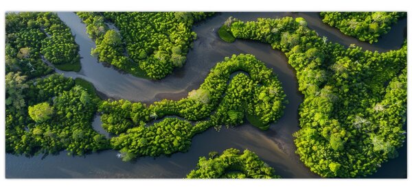 Slika - Šumski krajolik s rijekom (120x50 cm)