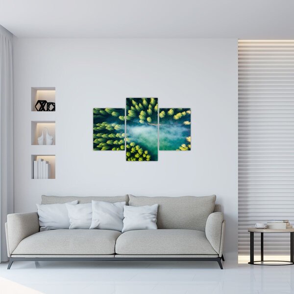 Slika - Šuma obavijena maglom (90x60 cm)