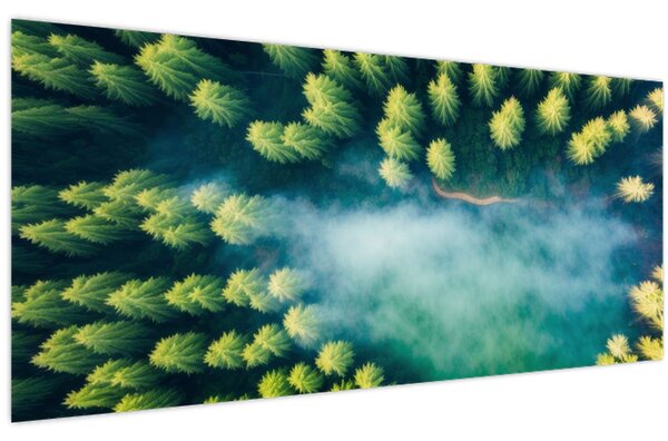 Slika - Šuma obavijena maglom (120x50 cm)