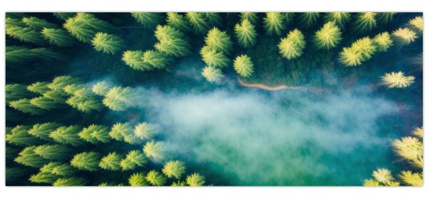 Slika - Šuma obavijena maglom (120x50 cm)