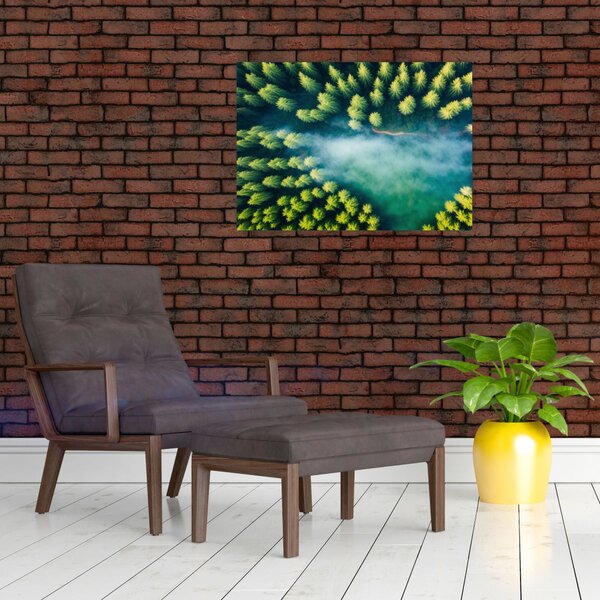 Staklena slika - Šuma obavijena maglom (70x50 cm)