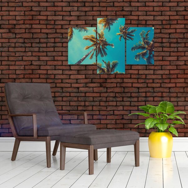 Slika - Visoke palme (90x60 cm)
