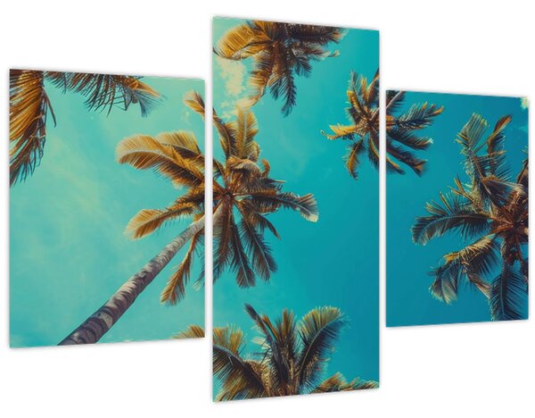 Slika - Visoke palme (90x60 cm)