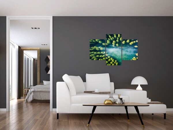 Slika - Šuma obavijena maglom (90x60 cm)