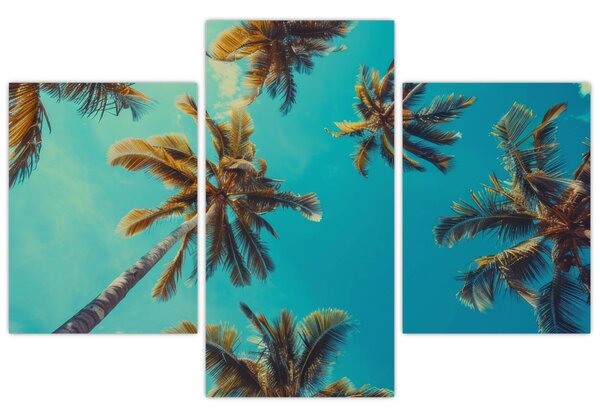 Slika - Visoke palme (90x60 cm)