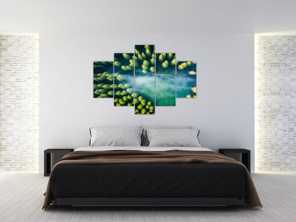Slika - Šuma obavijena maglom (150x105 cm)