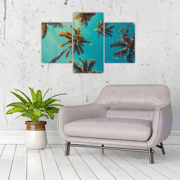 Slika - Visoke palme (90x60 cm)