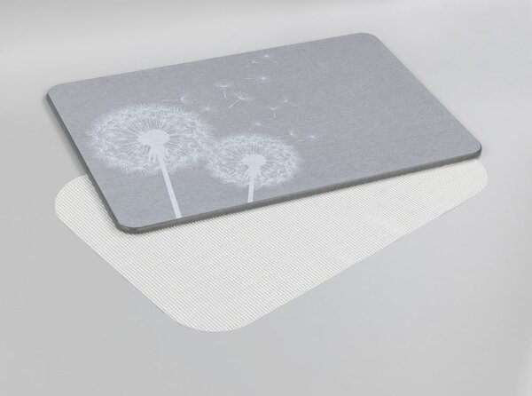 Siva kupaonska prostirka od dijatomita 39x60 cm Astera – Wenko