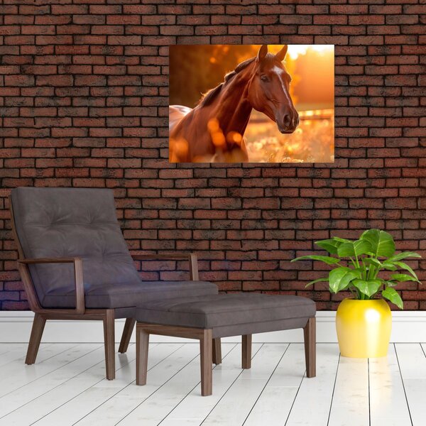 Slika - Konj u zalasku sunca (70x50 cm)