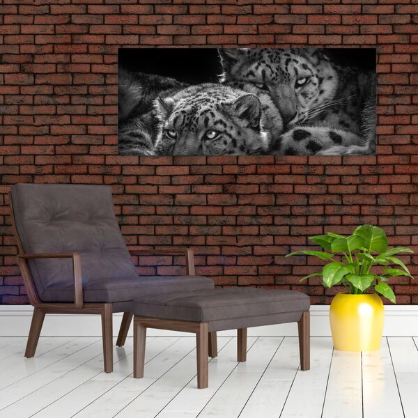 Slika - Gepardi koji se odmaraju (120x50 cm)