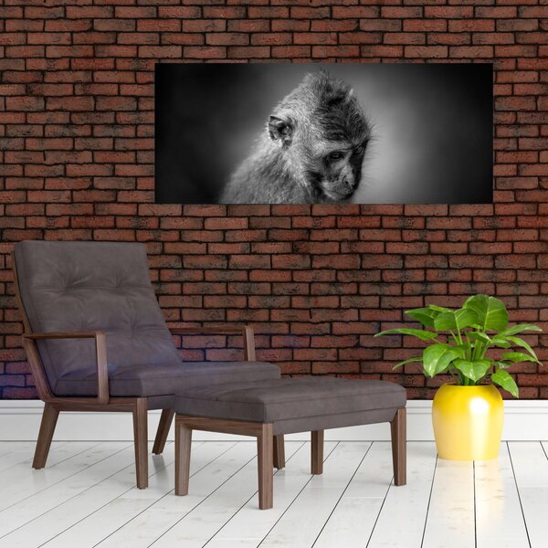 Slika - Majmun (120x50 cm)
