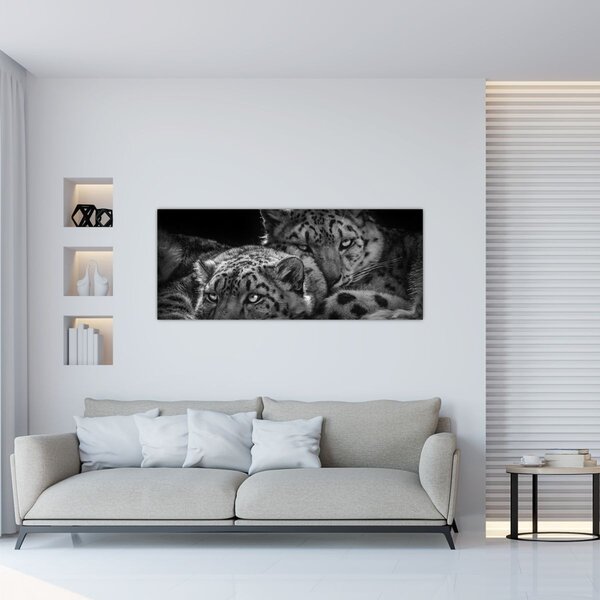 Slika - Gepardi koji se odmaraju (120x50 cm)