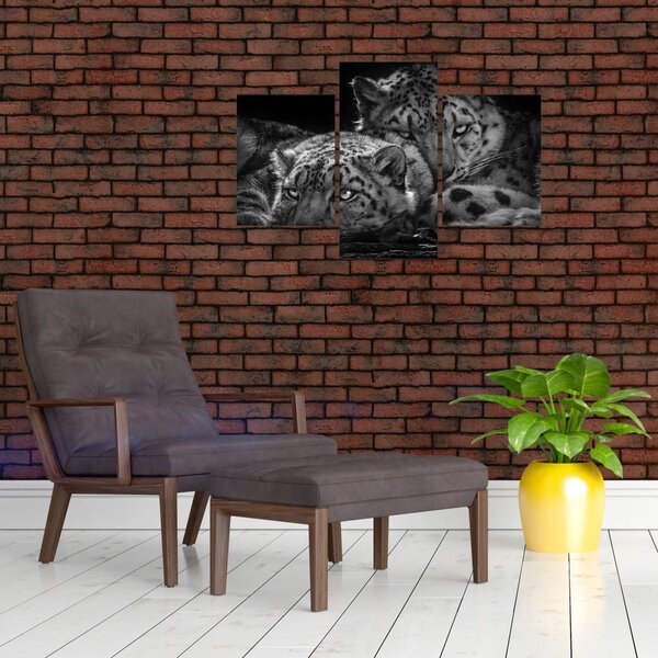 Slika - Gepardi koji se odmaraju (90x60 cm)