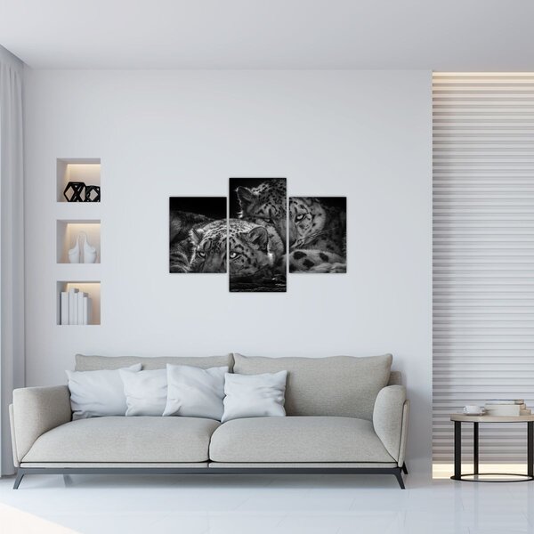 Slika - Gepardi koji se odmaraju (90x60 cm)