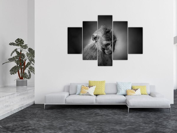 Slika - Majmun (150x105 cm)