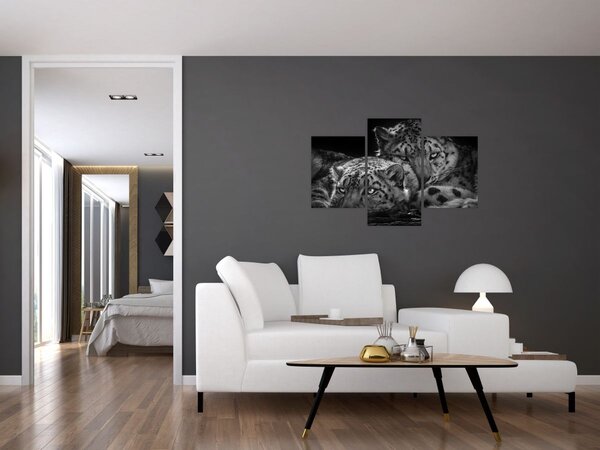 Slika - Gepardi koji se odmaraju (90x60 cm)