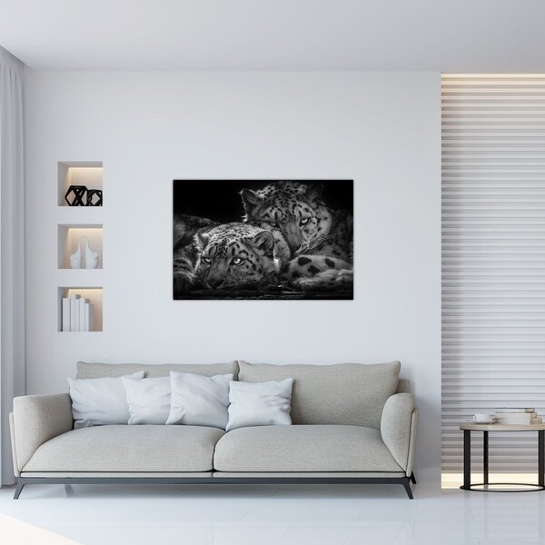 Slika - Gepardi koji se odmaraju (90x60 cm)