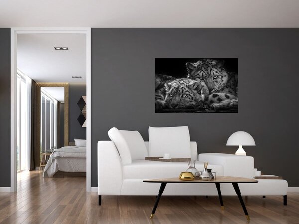 Slika - Gepardi koji se odmaraju (90x60 cm)