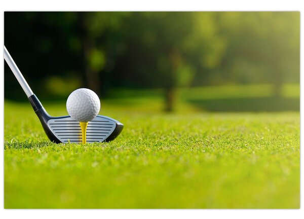Slika - Golf (90x60 cm)