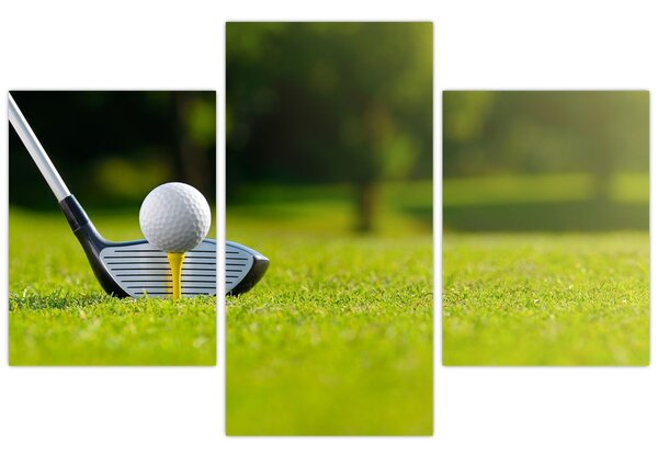 Slika - Golf (90x60 cm)