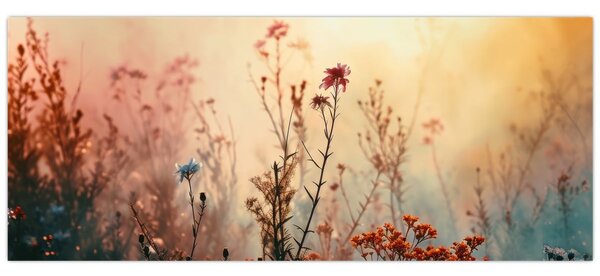 Slika - Divlje cvijeće (120x50 cm)