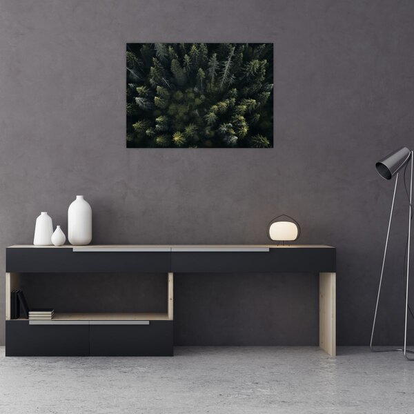 Slika - Šuma (70x50 cm)