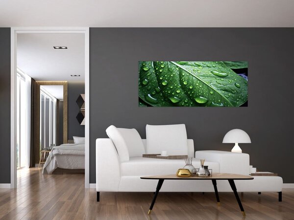 Slika - Detalj lista nakon kiše (120x50 cm)