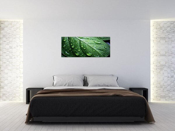 Slika - Detalj lista nakon kiše (120x50 cm)