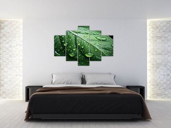 Slika - Detalj lista nakon kiše (150x105 cm)