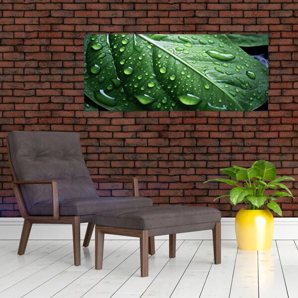 Slika - Detalj lista nakon kiše (120x50 cm)