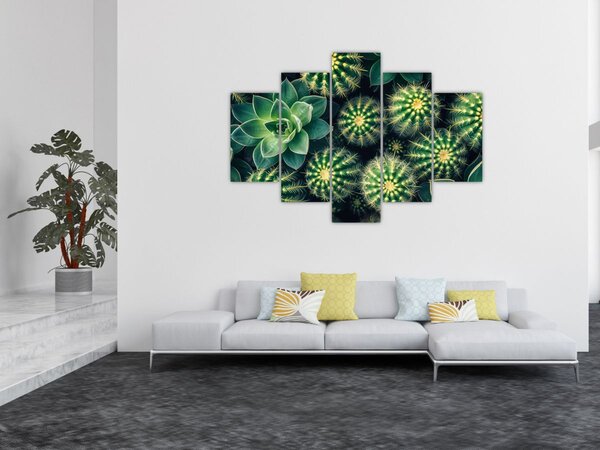 Slika - Kaktusi (150x105 cm)
