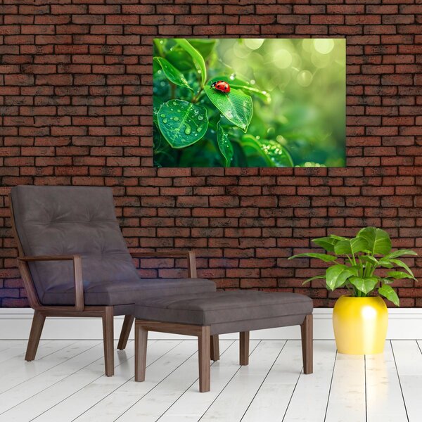 Slika - Bubamara (90x60 cm)