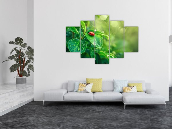 Slika - Bubamara (150x105 cm)