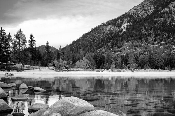 Slika jezero u prelijepoj prirodi u crno-bijelom dizajnu