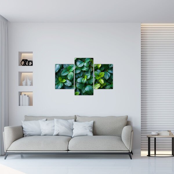 Slika - Zelene biljke (90x60 cm)