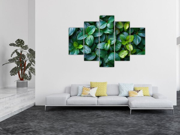 Slika - Zelene biljke (150x105 cm)