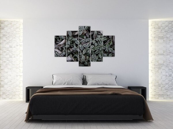 Slika - Smrznute biljke (150x105 cm)