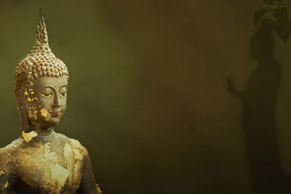 Slika Buddha i njegov odraz
