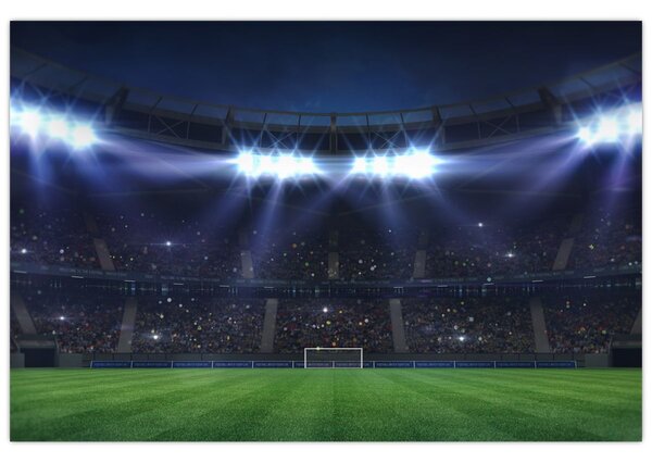 Slika - Nogometni stadion (90x60 cm)