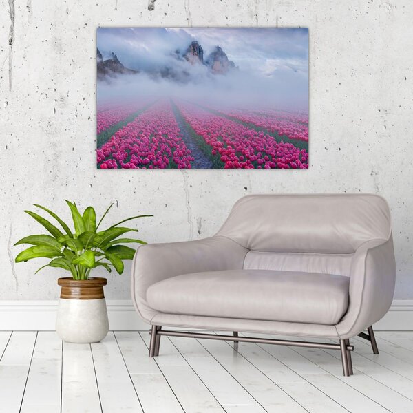Slika - Krajolik s poljima tulipana (90x60 cm)