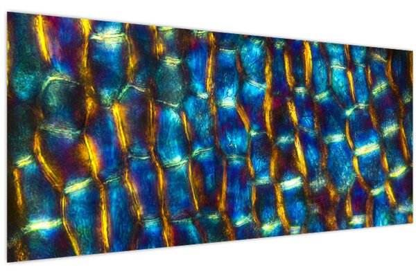 Slika - Stanične stijenke (120x50 cm)