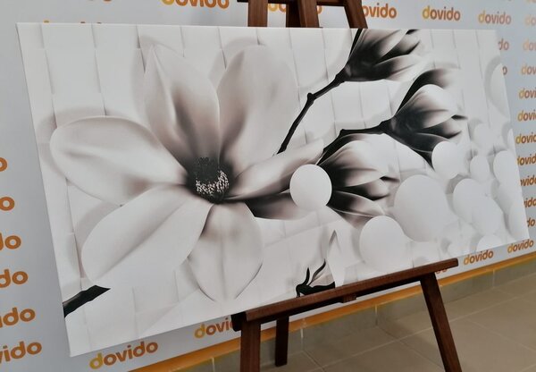 Slika crno-bijela magnolija s apstraktnim elementima